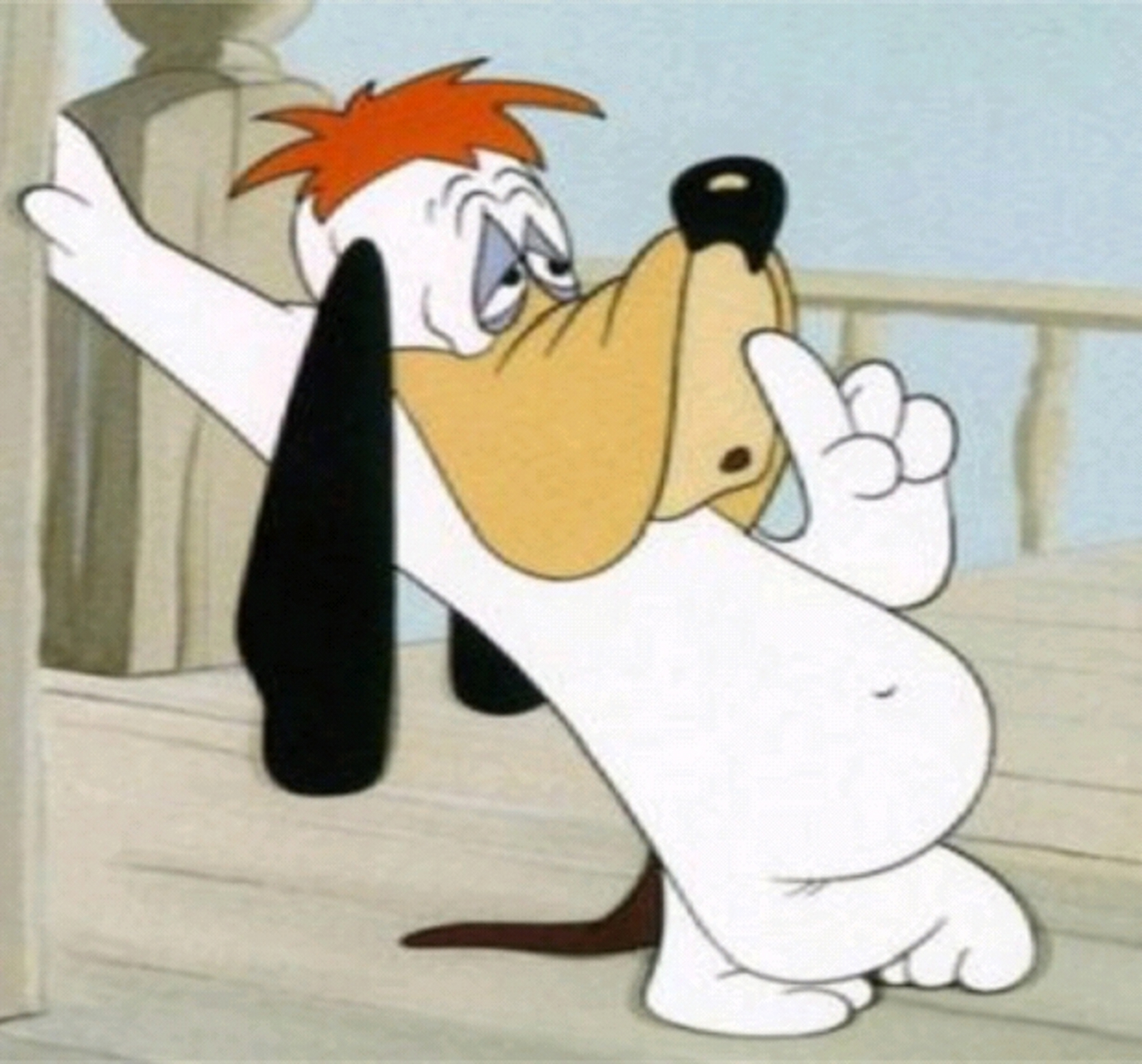 哈哈哈,我好像找到了德鲁比的原型![捂脸]#狗狗