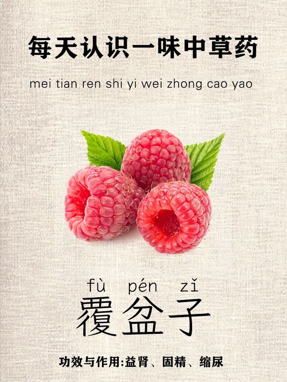 每天认识一味中草药-覆盆子| 中药名:覆盆子 别名:乌藨子,覆盆,小托盘