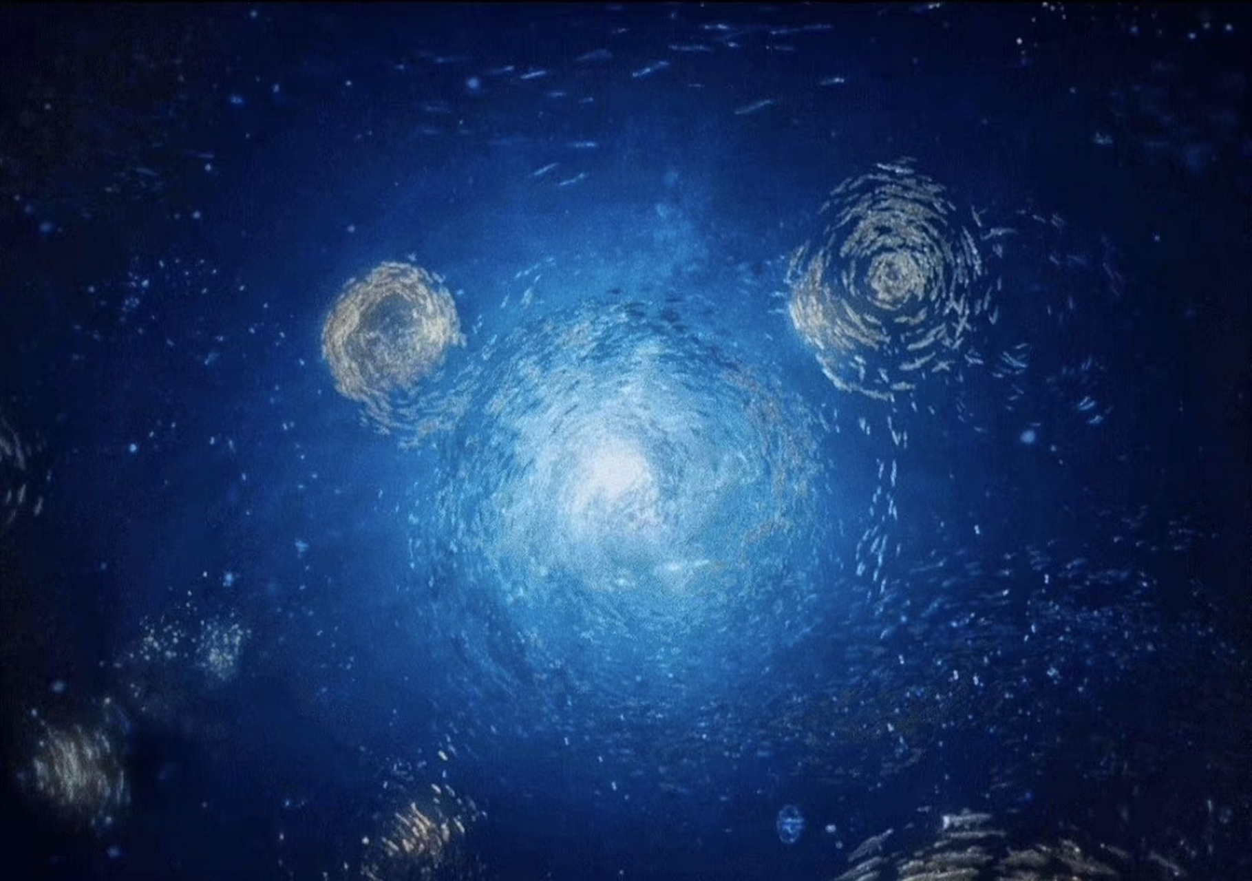 用最美的海底星空,结束最爱的人的生命,在赌徒何非的眼里,为了钱