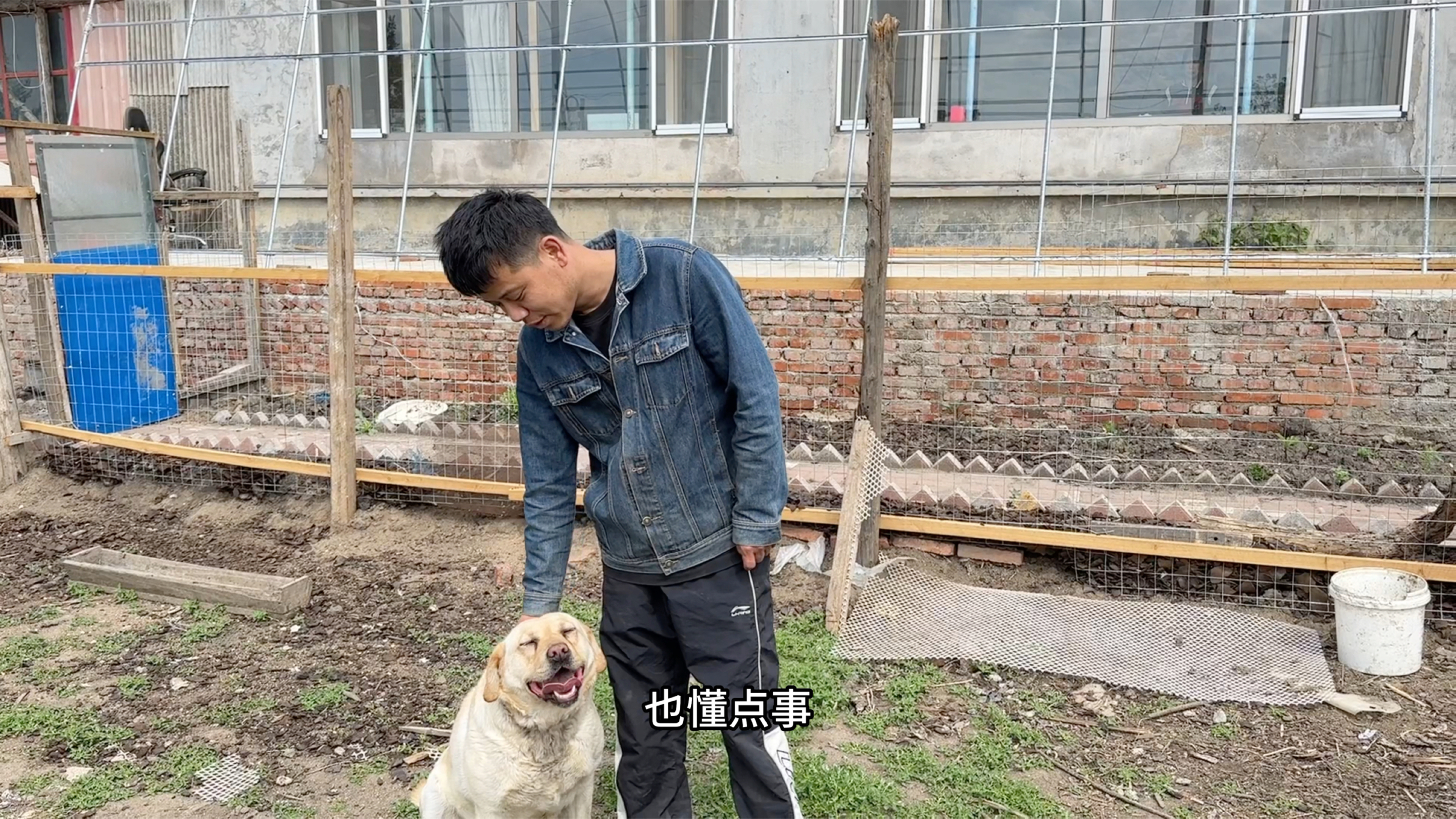 广西媳妇算数就头疼,嫁来几年都算不明白,收拾鸡笼准备养家禽