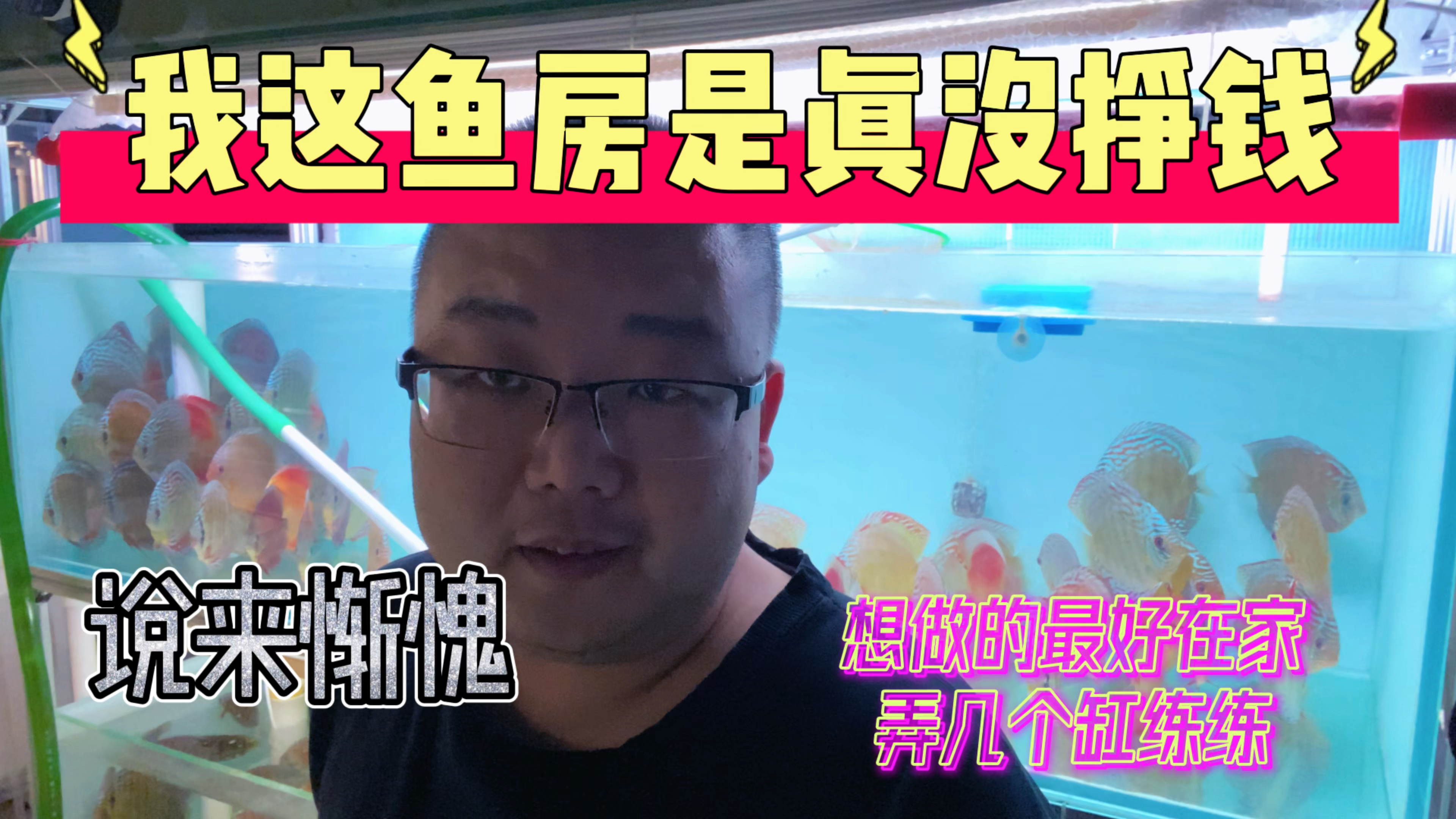 说来惭愧我这鱼房这两年没挣钱,所以劝有想法的在家弄俩缸先试试
