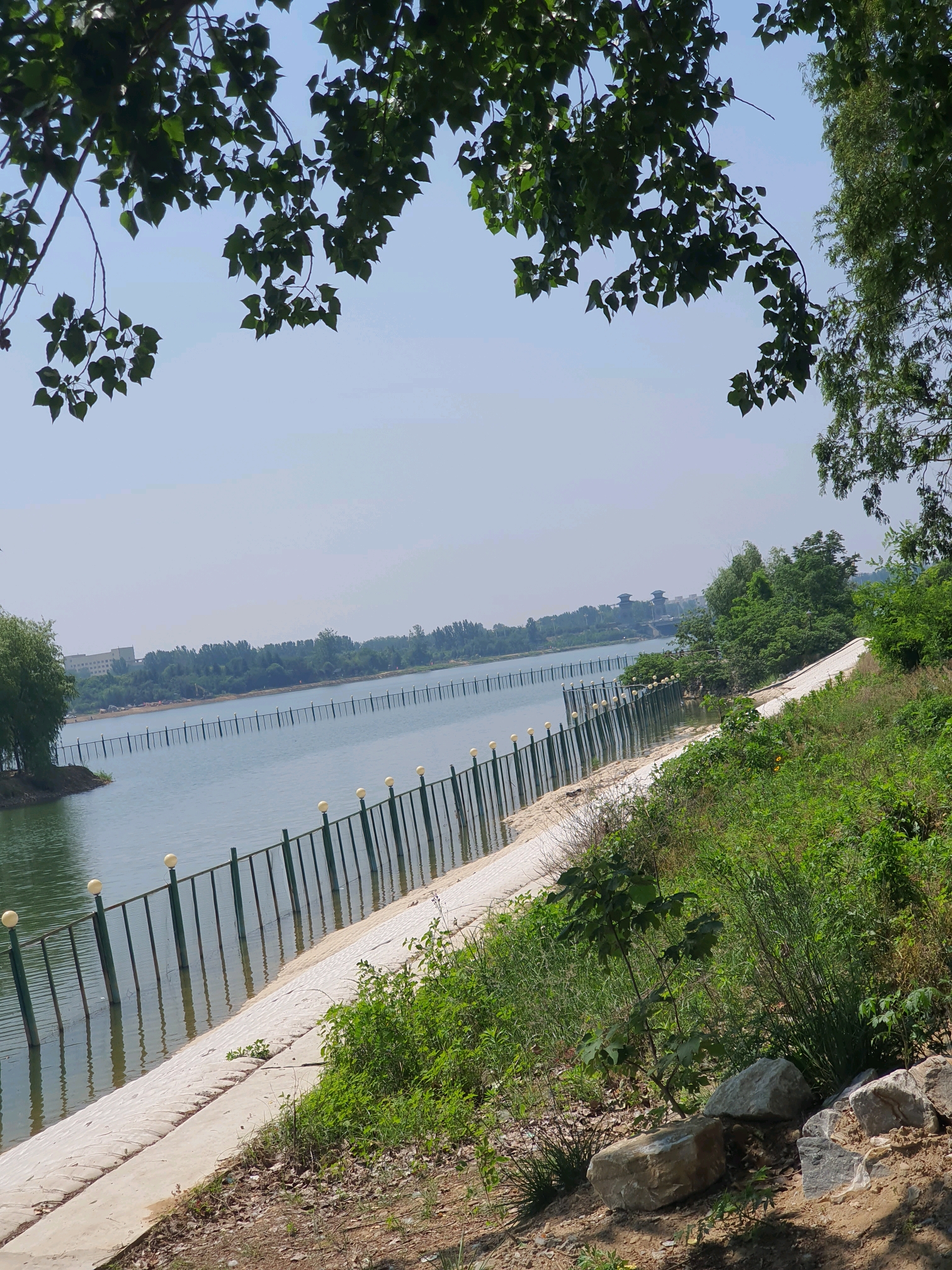 南阳市白河湿地公园