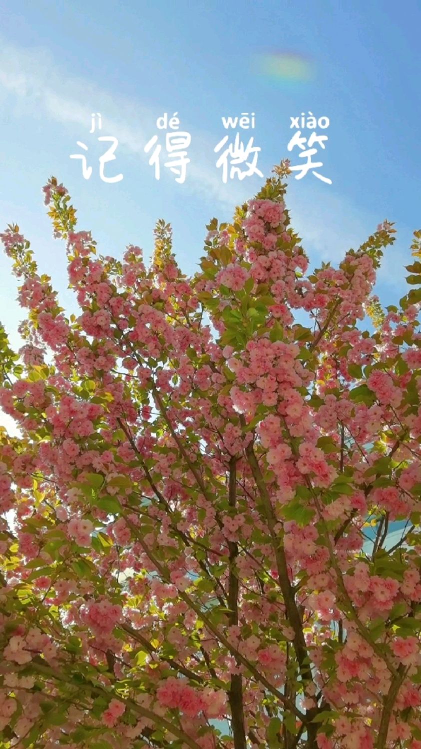 生活很好,记得微笑