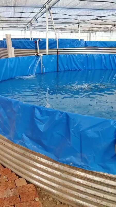 大棚圆桶帆布养鱼池养鱼新技术高产量-度小视