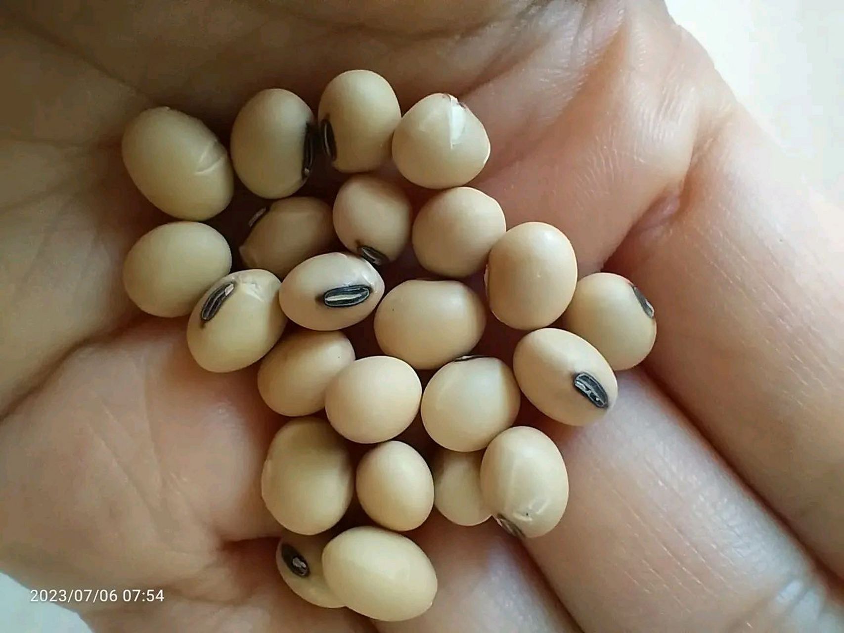 现如今能健康活下去真的是太难了.