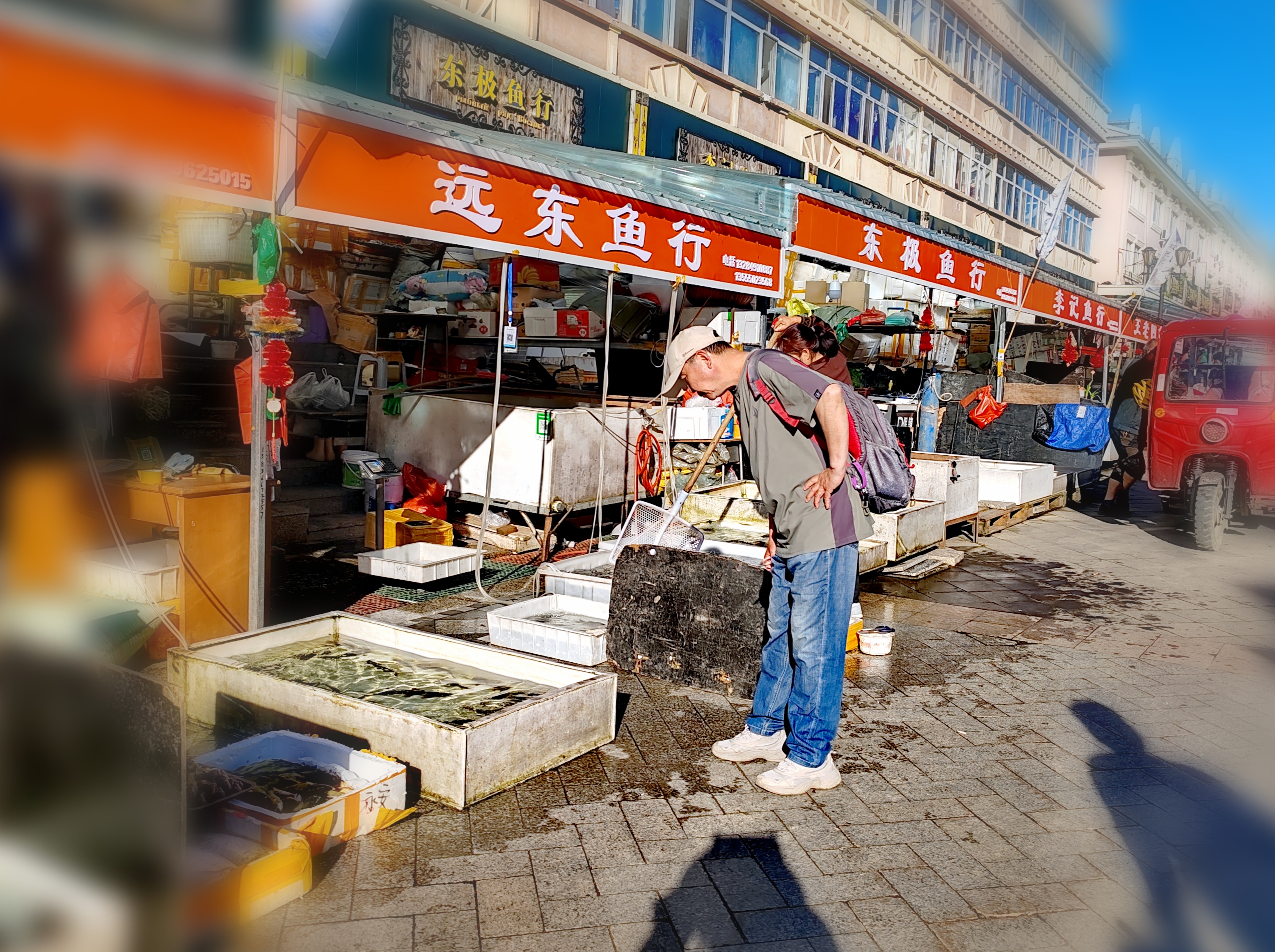 「走走拍拍61东北」清早逛东极鱼市