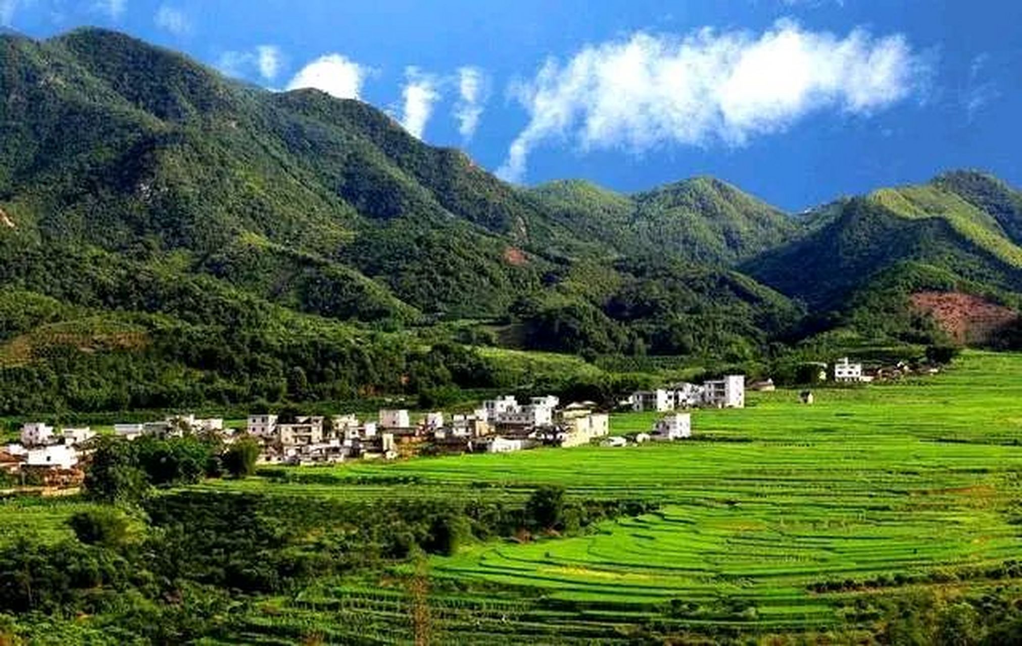 2021河南与广东的发展差距  2021年河南gdp达到58887亿元人民币,但是