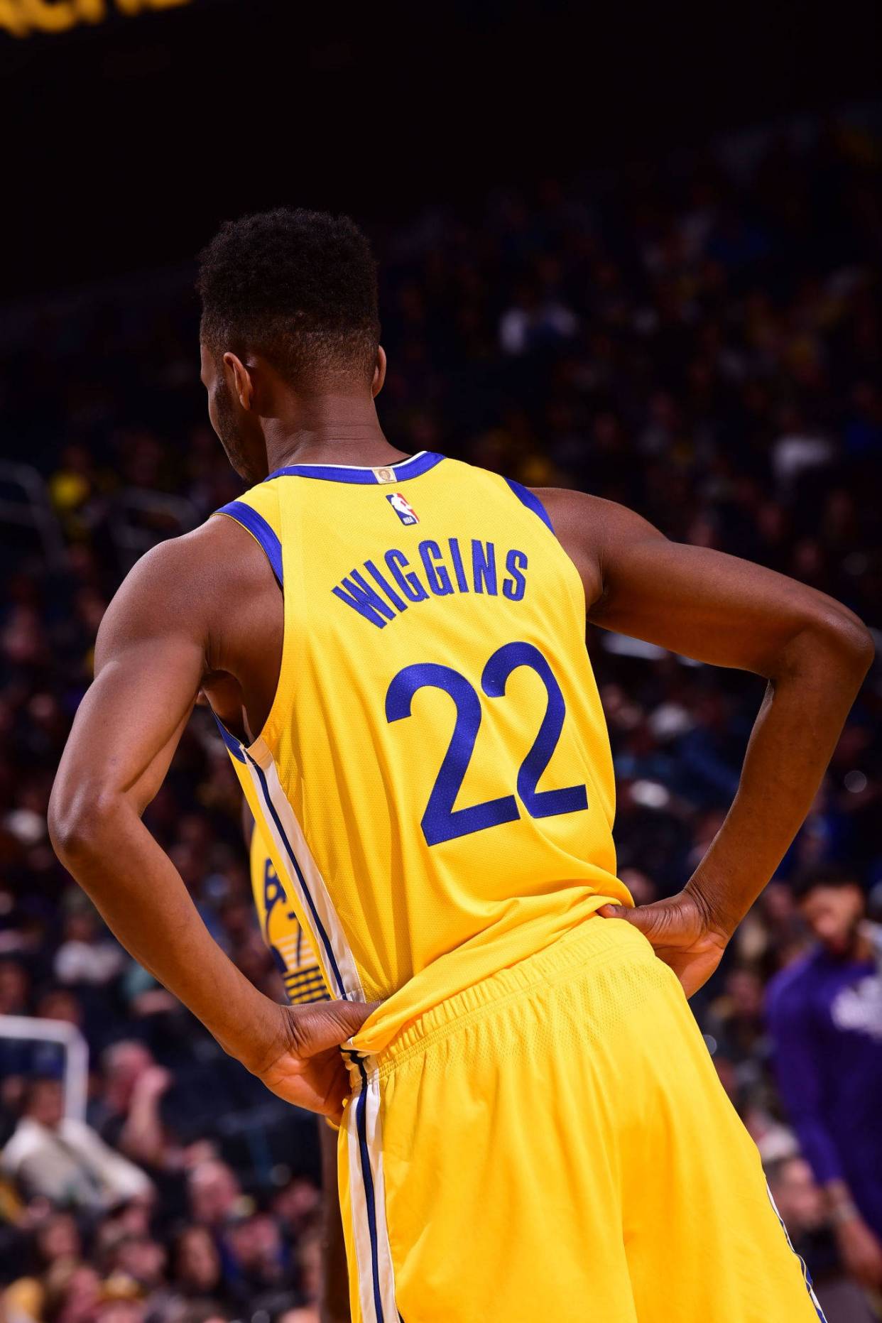 维金斯高清壁纸!