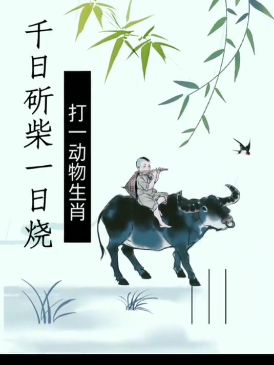 鳞次栉比打一生肖