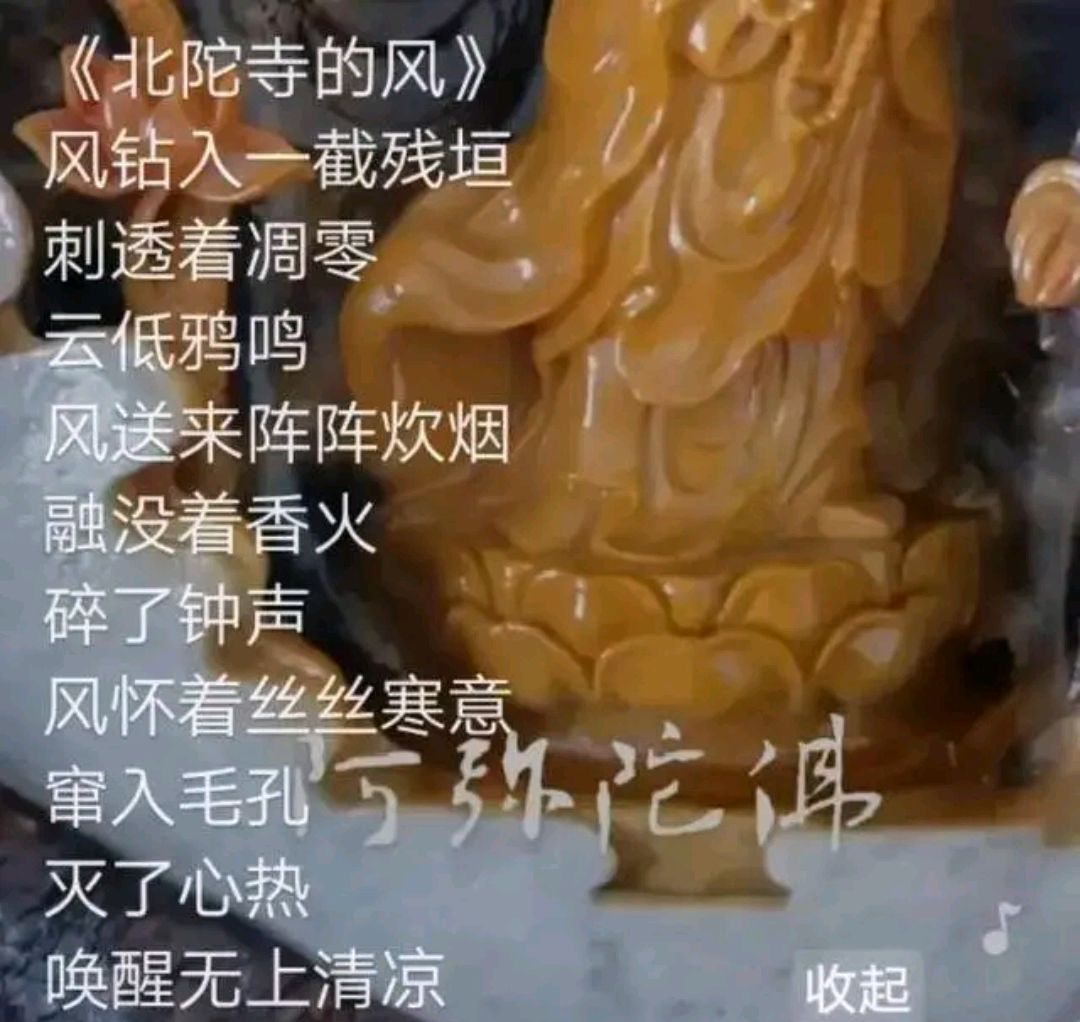 北陀寺图片