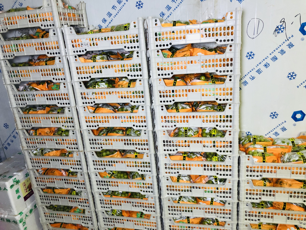 石狮水果冷库新鲜配送