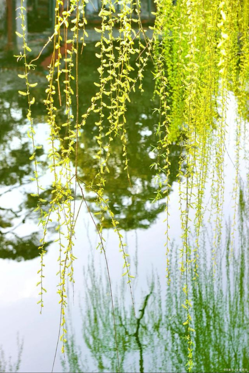 《疾去春来》  七绝 冬韵  原创  疾风寒日迹无踪,  凝雨新晴语晓逢.