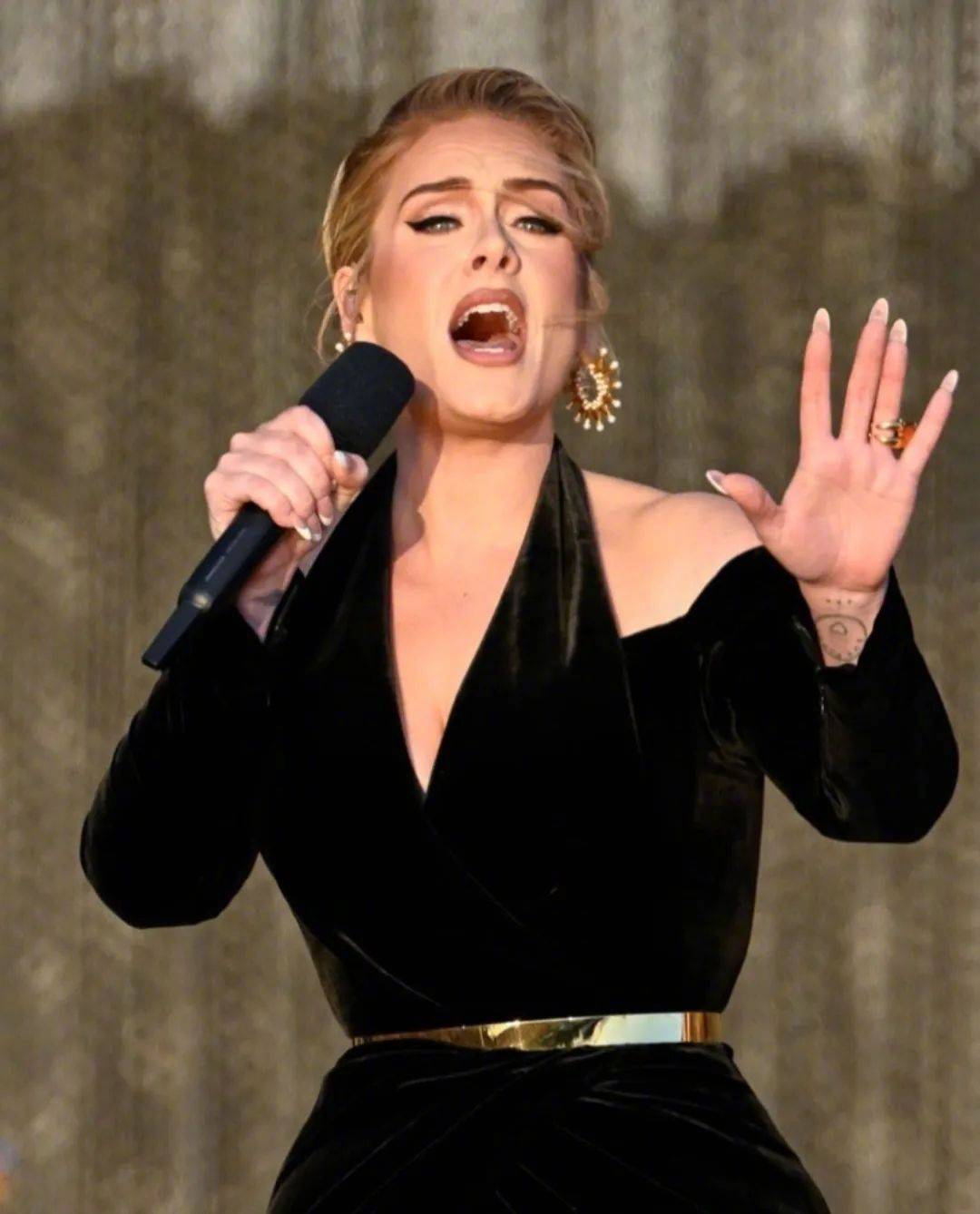 在海德公园开演唱会的adele阿黛尔,身穿schiaparelli定制的礼服