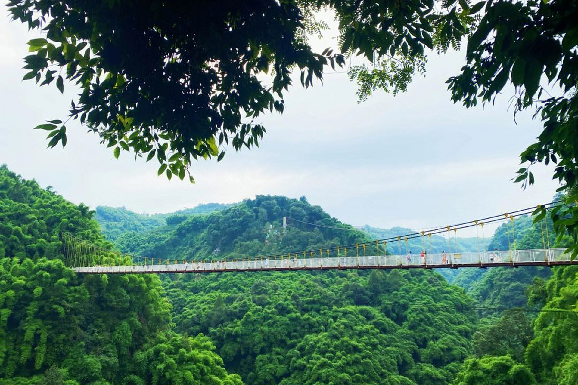 成都邛崃川西竹海,这里有万亩竹海覆盖,空气清新宜人,氧气含量占据