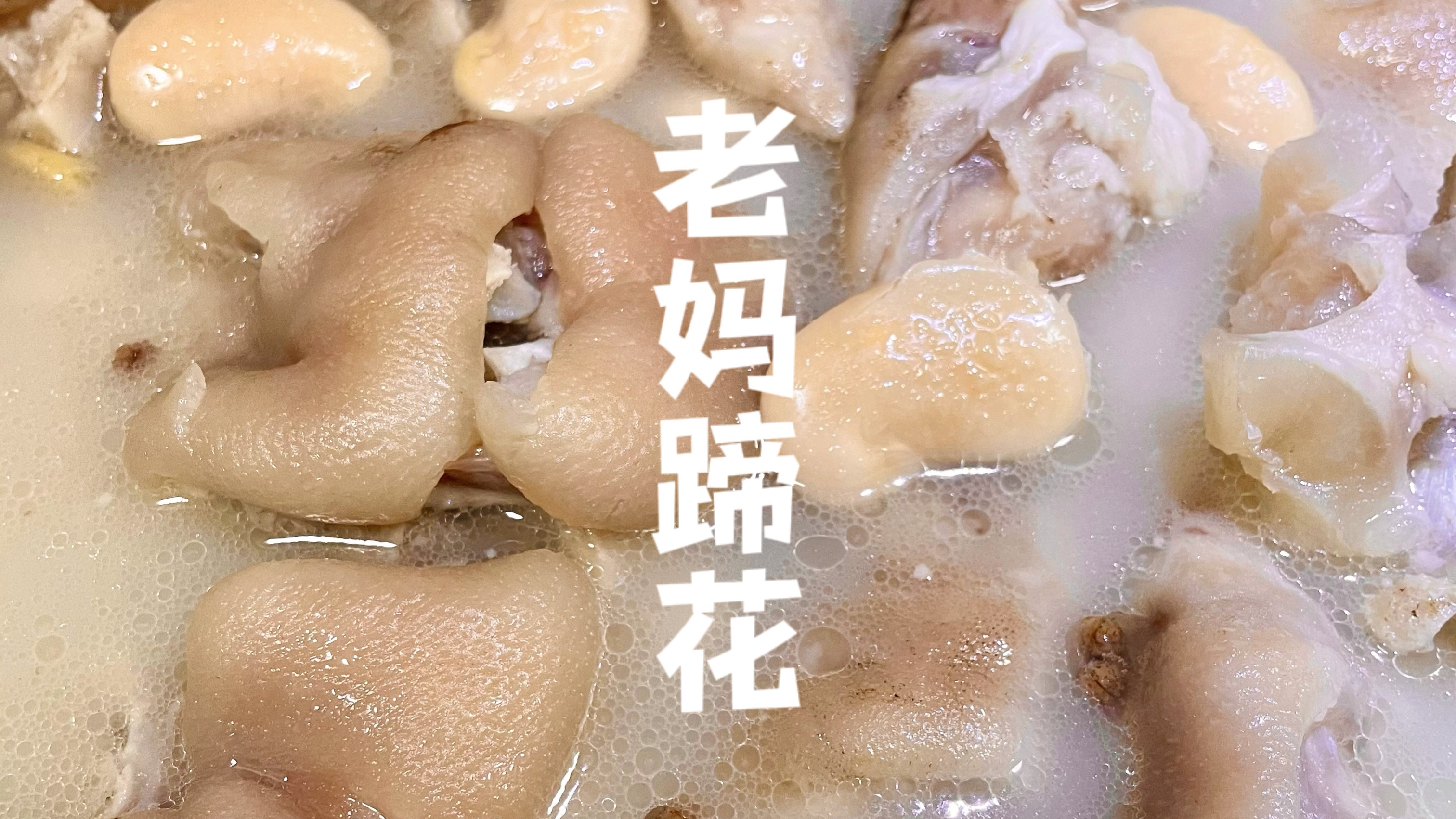 跟网友学简单版猪蹄汤!汤色奶白猪蹄软糯脱骨,一嘬一吸巴适得很