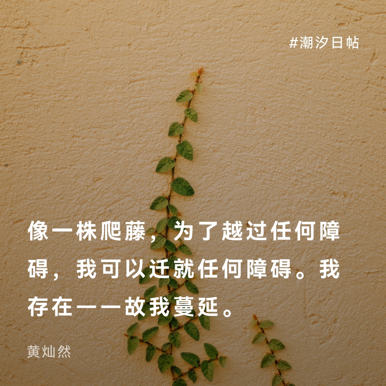 黄灿然,男,福建泉州人.是著名华人诗人,翻译家.