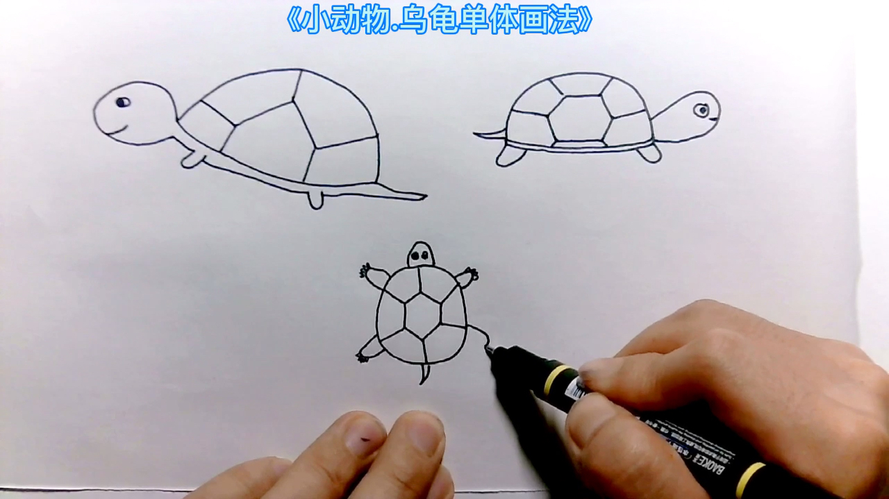 简笔画儿童画大全.手绘动物乌龟画法,在家学习画画
