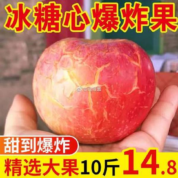 大凉山正宗丑苹果冰糖5斤中果，16.8大凉山正宗丑苹果