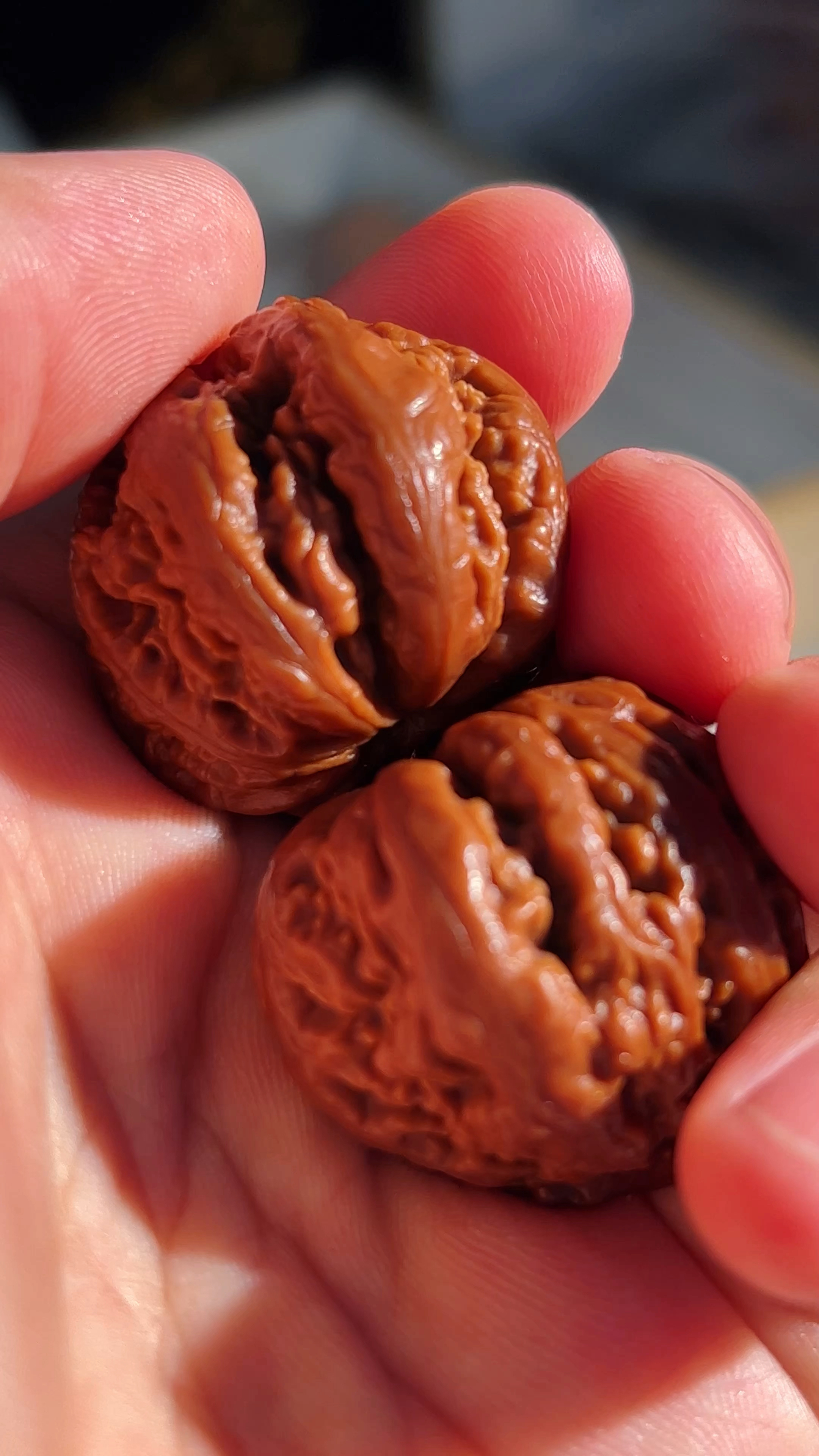 京八棱霸王龙手捻