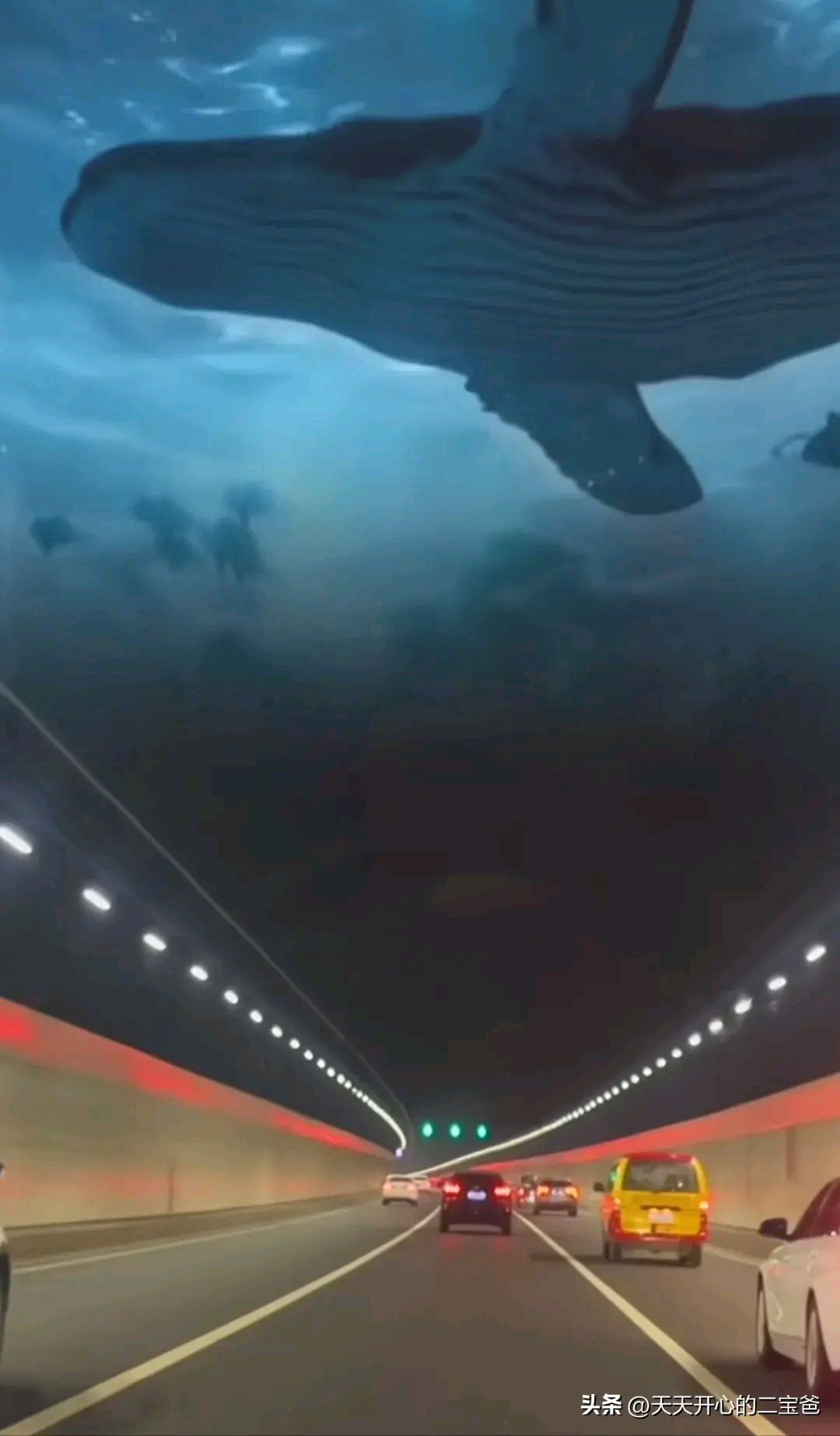 奇妙的大连海底隧道