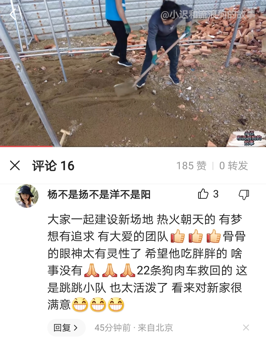 大网红小迟流浪狗和他北京夫人的爱情故事