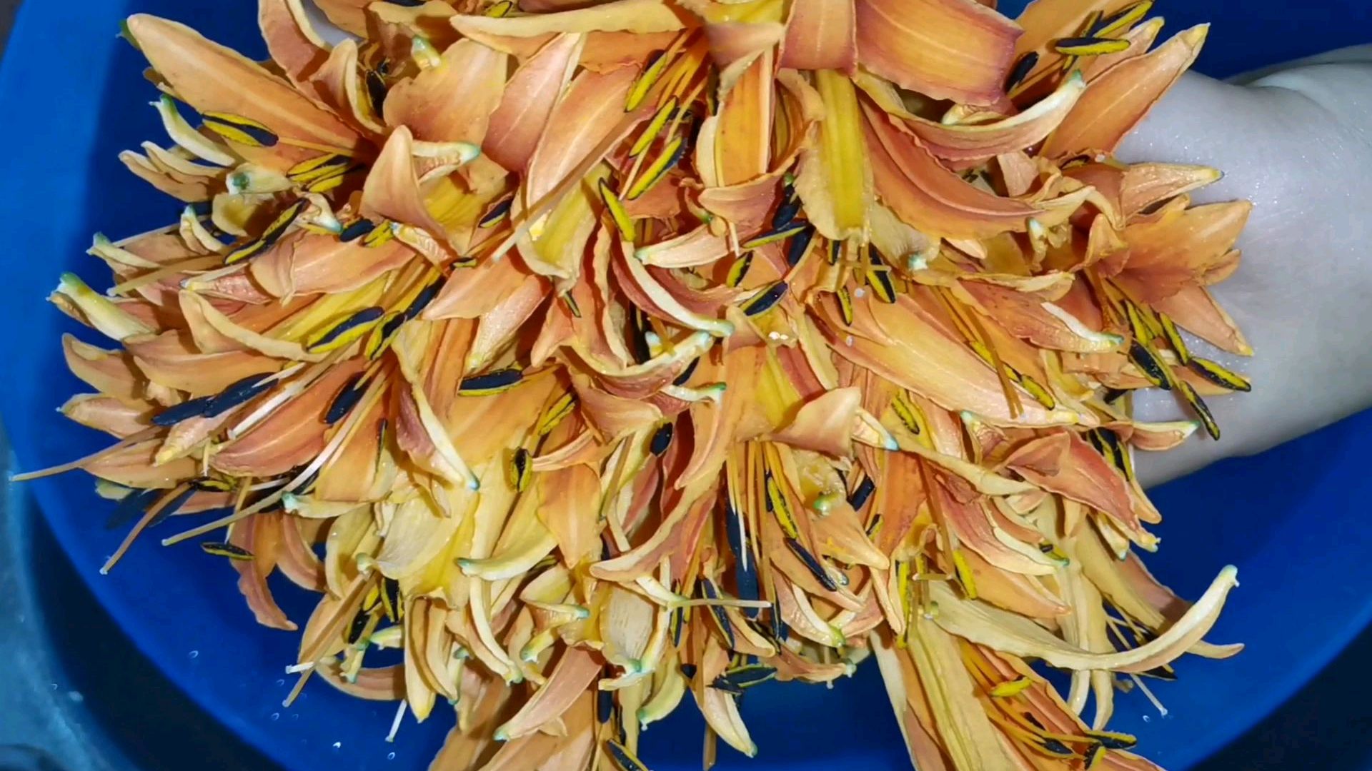 新鲜黄花菜这样做,汤汁鲜美甜,菜花滑嫩,比小时候的味道要鲜美