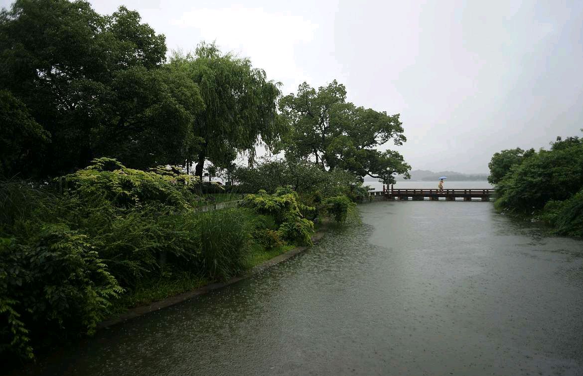 雨中游西湖,遇见苏提春晓的朦胧之美