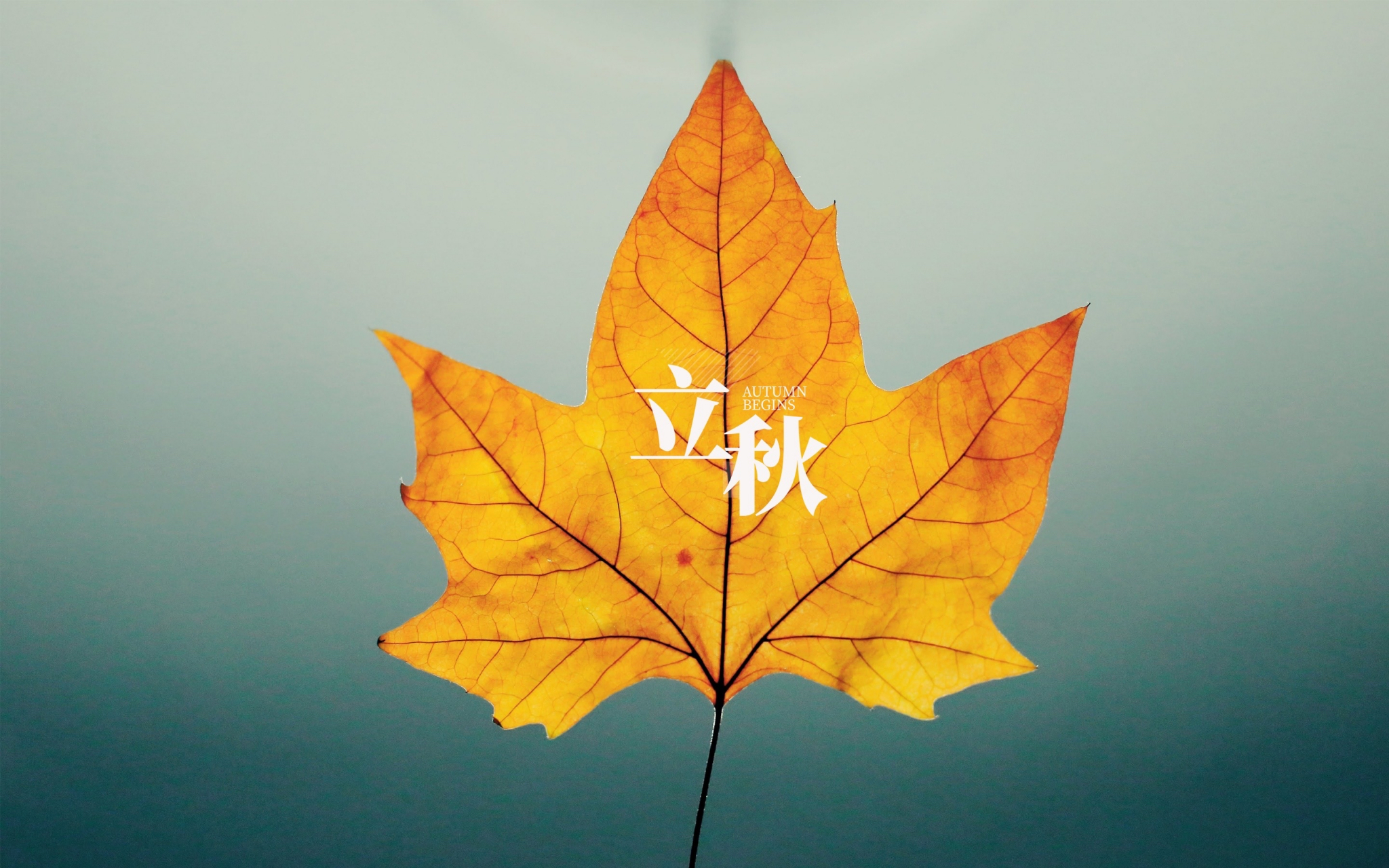 秋天的第一个节气,立秋来了～  北京时间8月8日2时23分,我们迎来了"