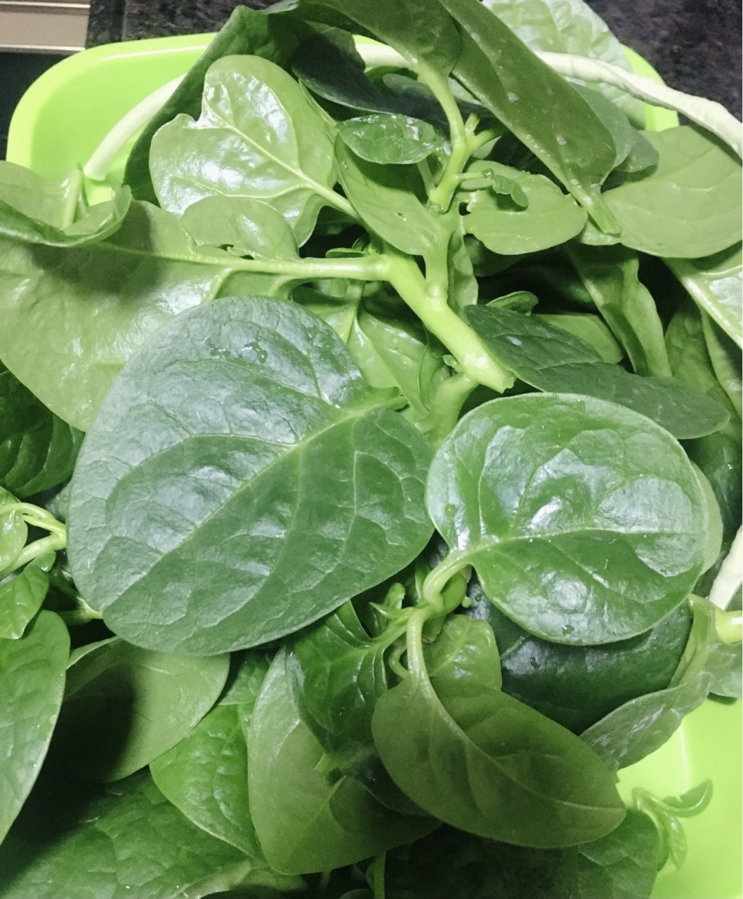 一种非常小众的绿叶蔬菜02 农村人都叫它,木耳菜 木耳菜你有吃过没?