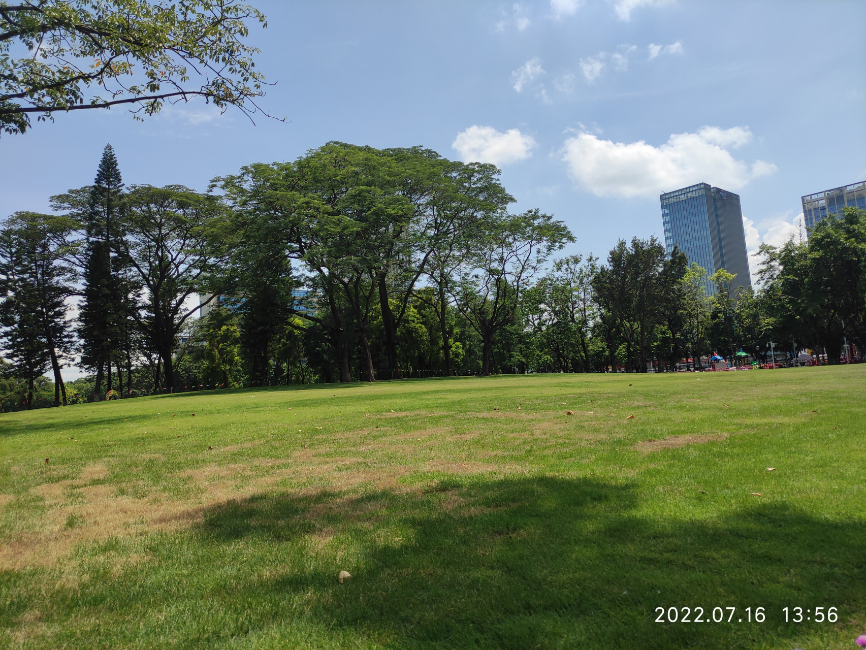 黄埔的中央公园,广州黄埔花园 这里的大草坪周末和节假日可以踩踏