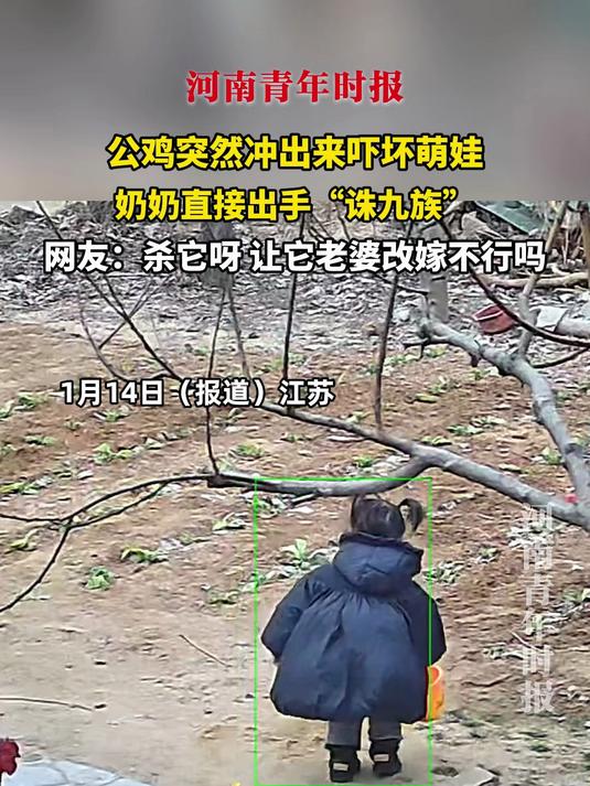 公鸡突然冲出来吓坏萌娃，奶奶直接出手“诛九族”，网友：杀它呀，让它老婆改嫁不行吗