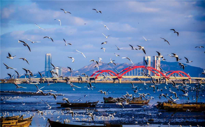 烟台11区县gdp:龙口市第2,莱山区领先莱阳市,牟平区第10