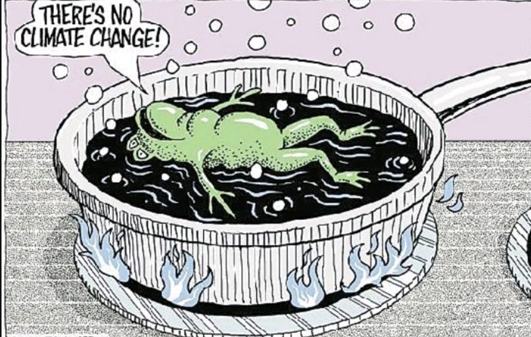 节前行情犹如温水煮青蛙