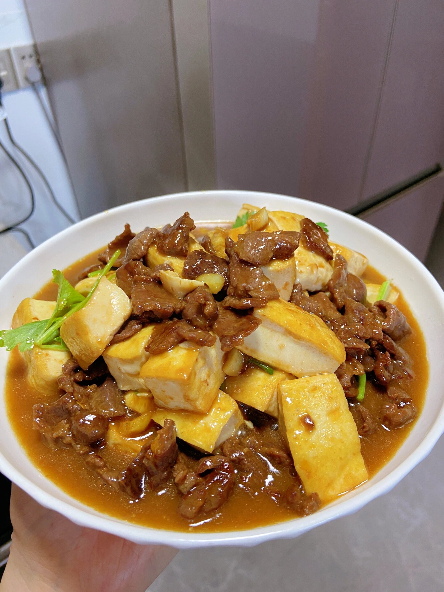 豆腐烧牛肉 简单家常菜 嫩滑入味又下饭