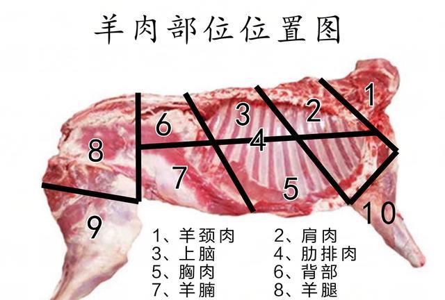 红烧羊肉放什么调料比较好?