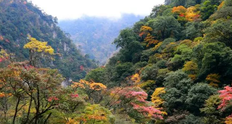 川内凉快的旅游景点