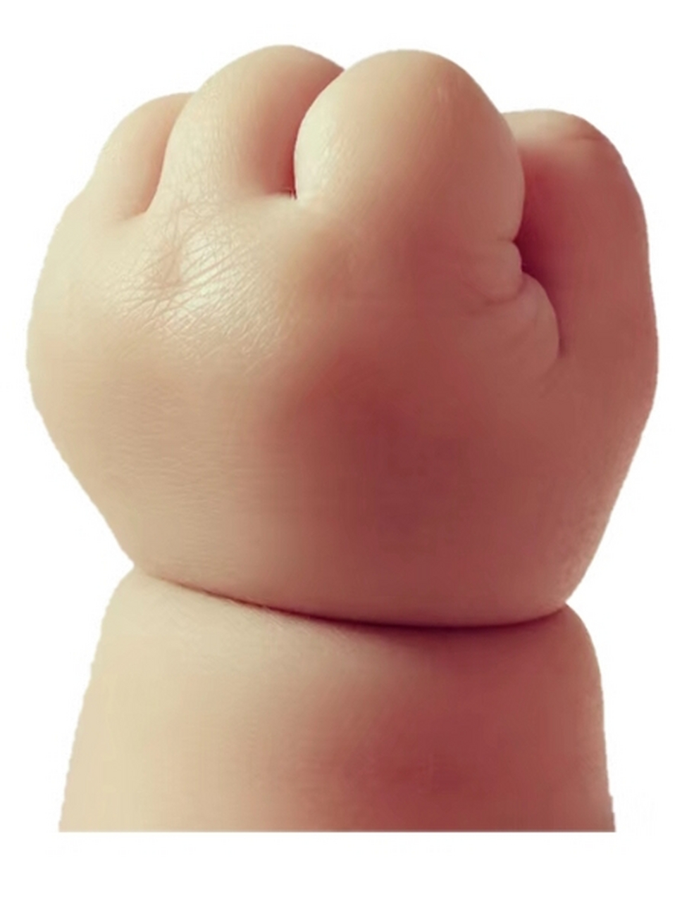 春天的小手是一个蓓蕾 拳头,慢慢地松开 手指,轻轻地张开 花朵啪地一