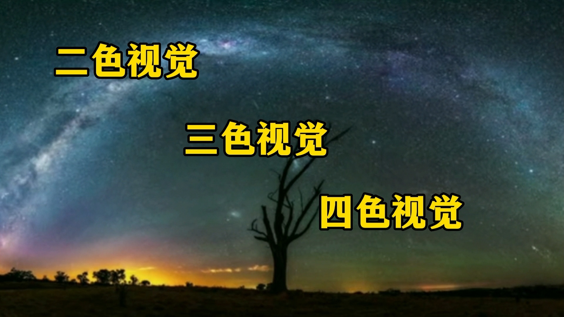 人类看到的世界是"假"的,眼睛欺骗了我们?这可能颠覆你的认知