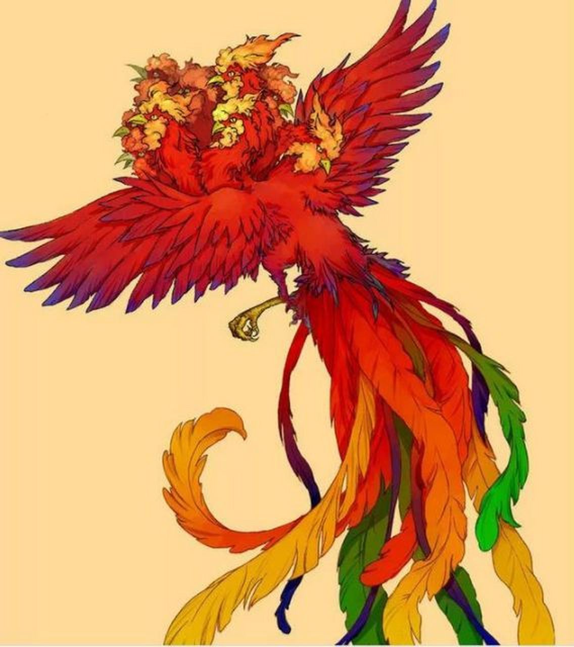 鬼车 又称九头鸟,鬼鸟,姑获鸟,是古代中国神话传说中的妖鸟.