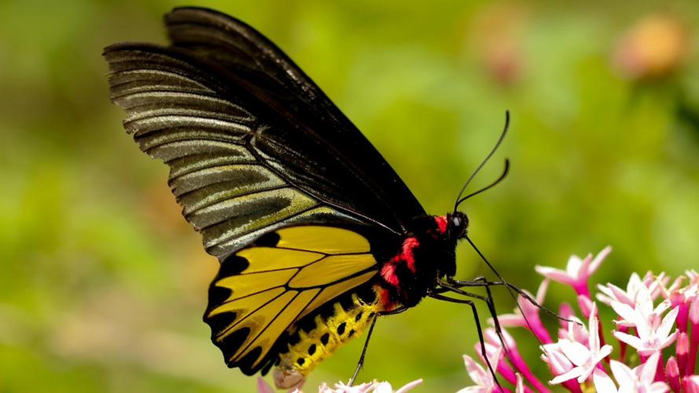 英语# #考研核心英语# #英语打卡#  underlie  under(下) lie(躺着)