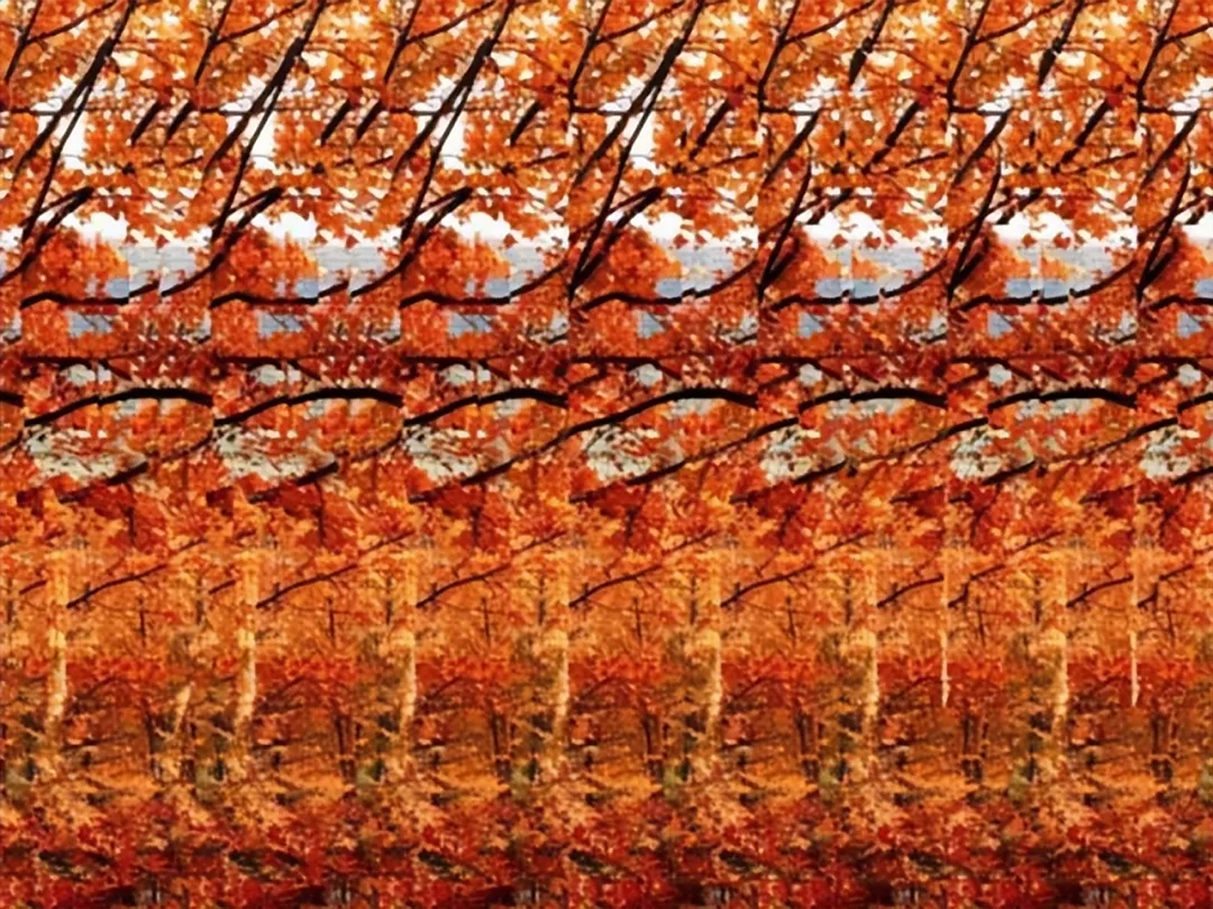 要了解3d立体画成像原理,首先必须正确认识立体图像的概念.