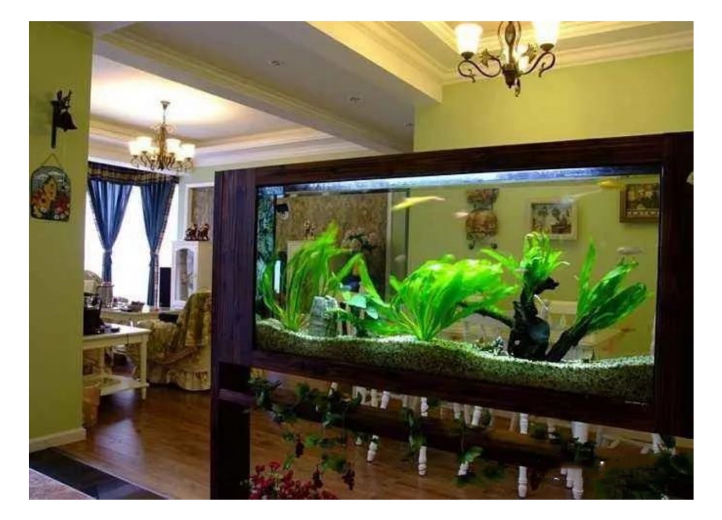 家里养鱼养几条最好?你家养对了吗?