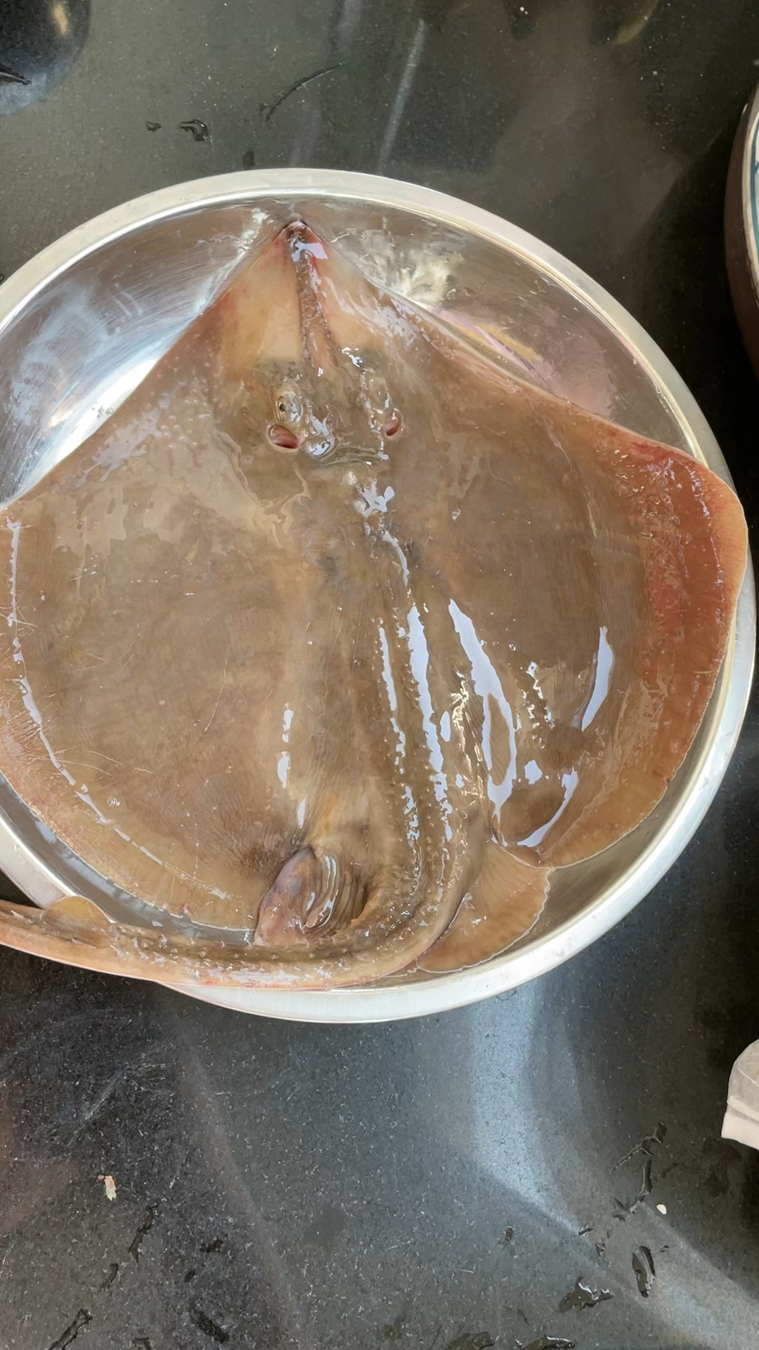 老板鱼炖豆腐,卖相不太好,但是好吃啊