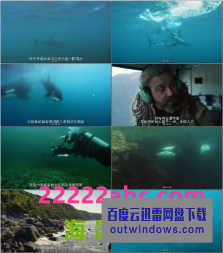 2021美国纪录片《虎鲸对上大白鲨》BD1080P.中字1080p|4k高清