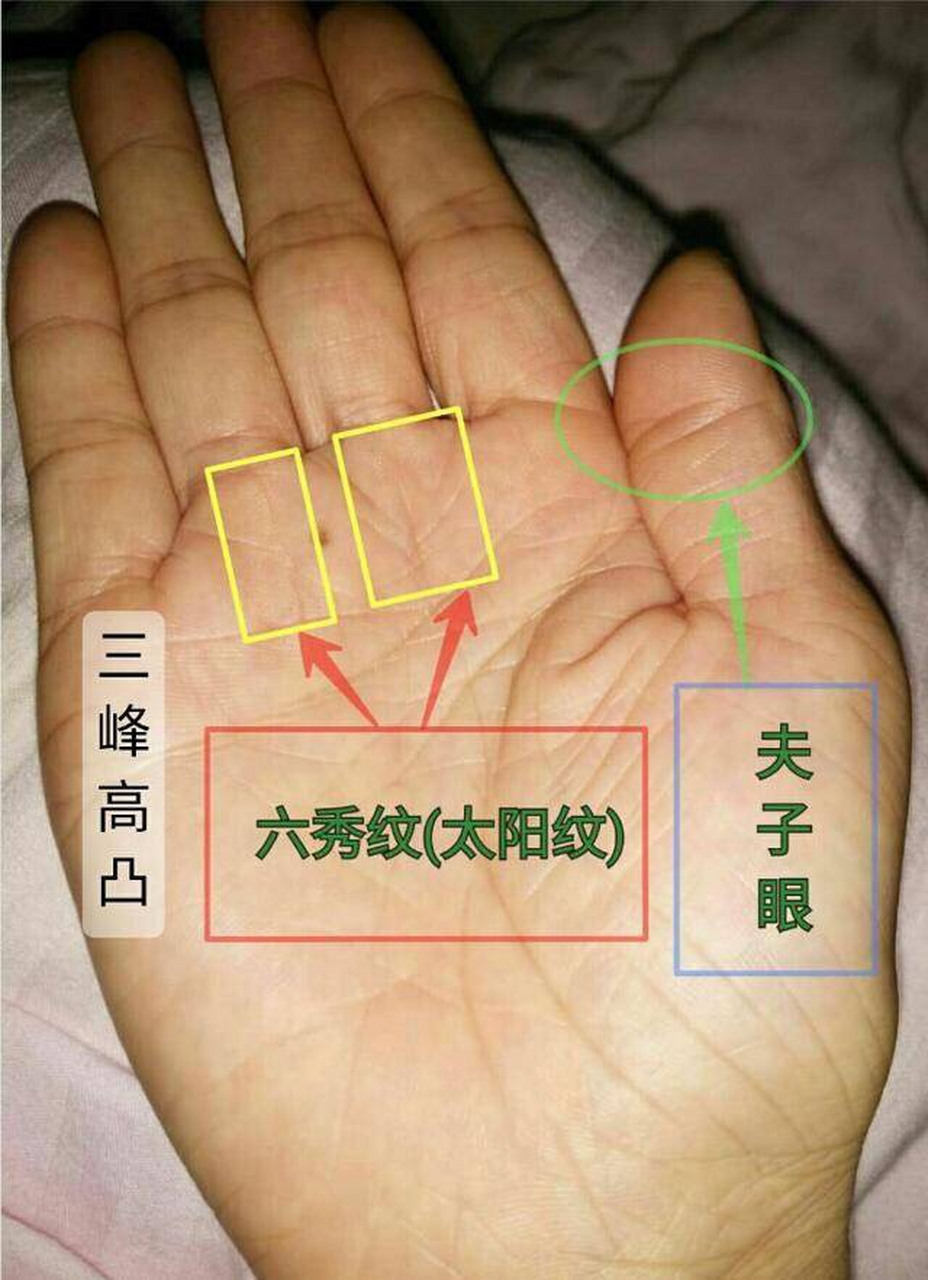 六秀纹 手相中有"六秀纹"既是太阳纹,这种手相的人,天生命里有贵人