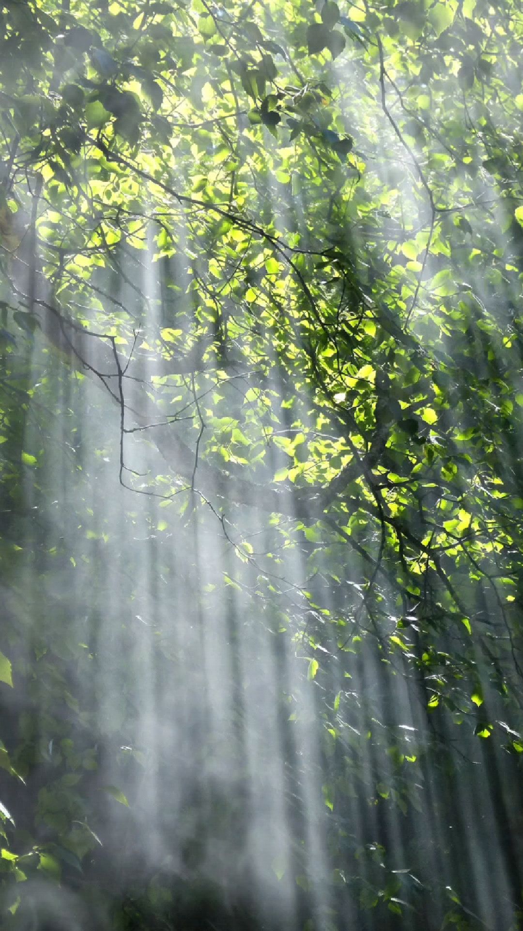 裂缝中的阳光,透露着希望