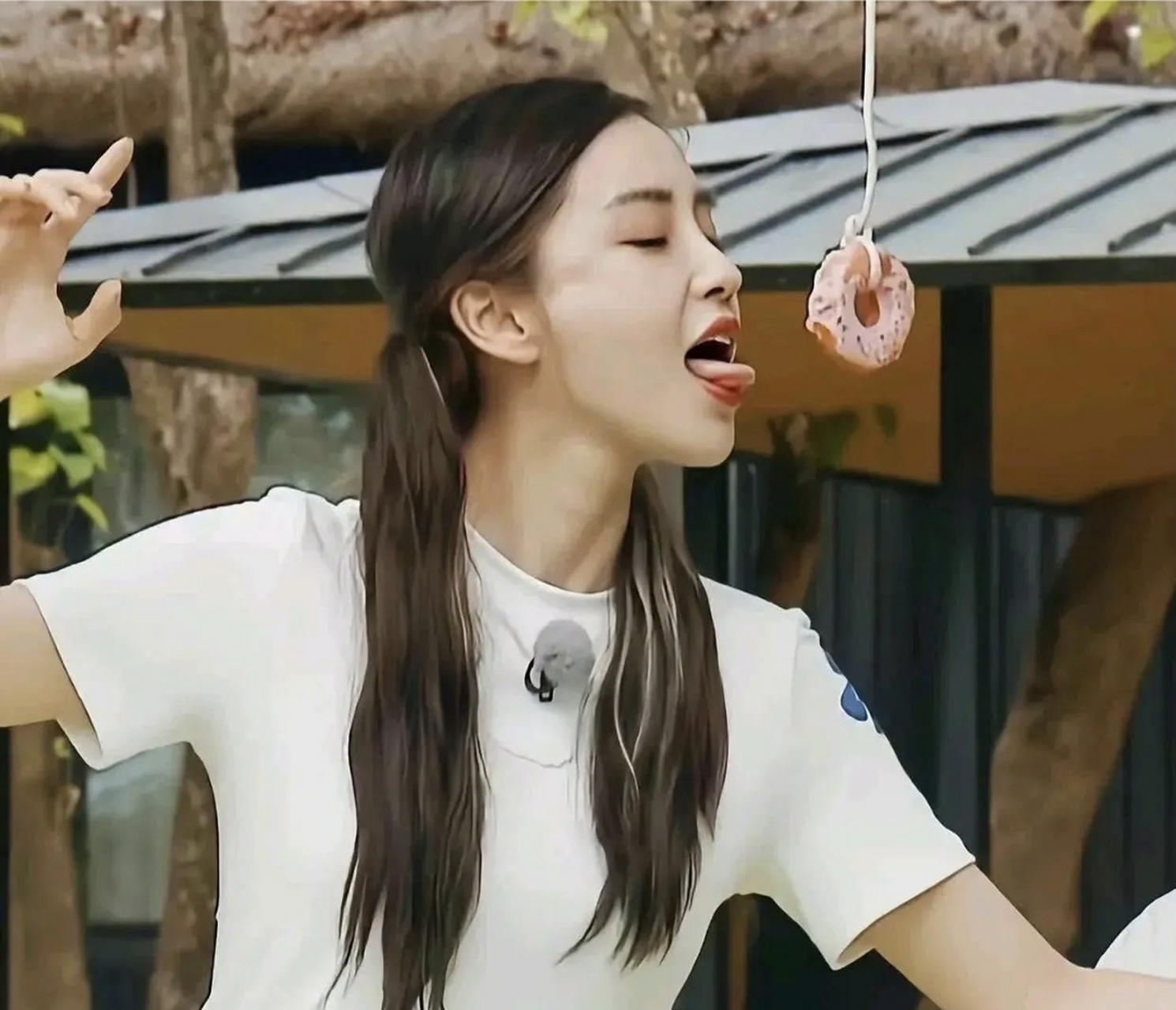 杨颖为了吃饭甜甜圈,实在是太拼了!看得出来,她很需要这个甜甜圈.