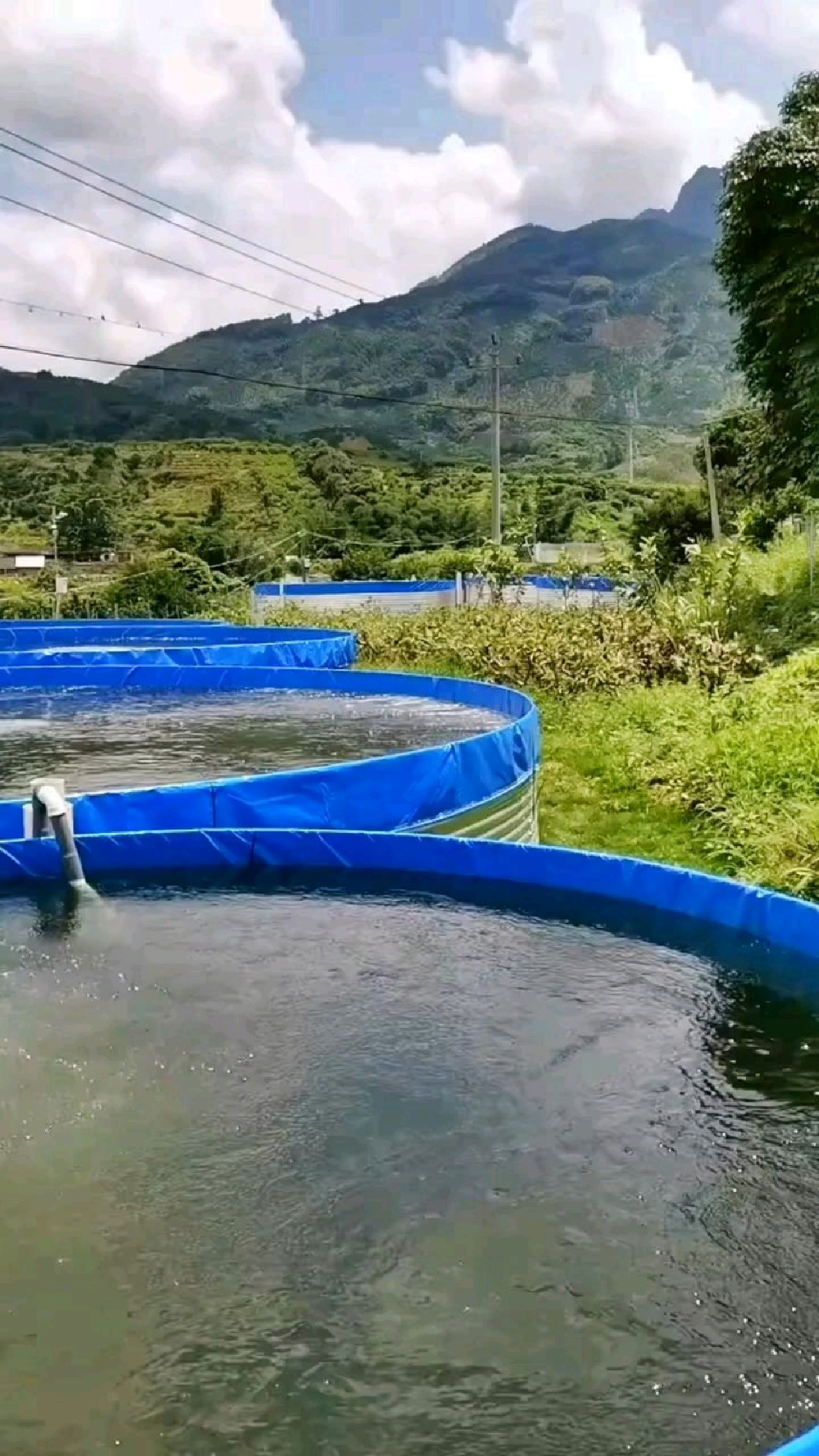 镀锌板帆布鱼池 #高密度养殖镀锌板帆布水池 #工厂化循环水养殖设 