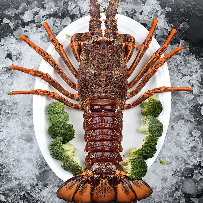 中国海产禁运下,日本开始走澳洲和台湾老路