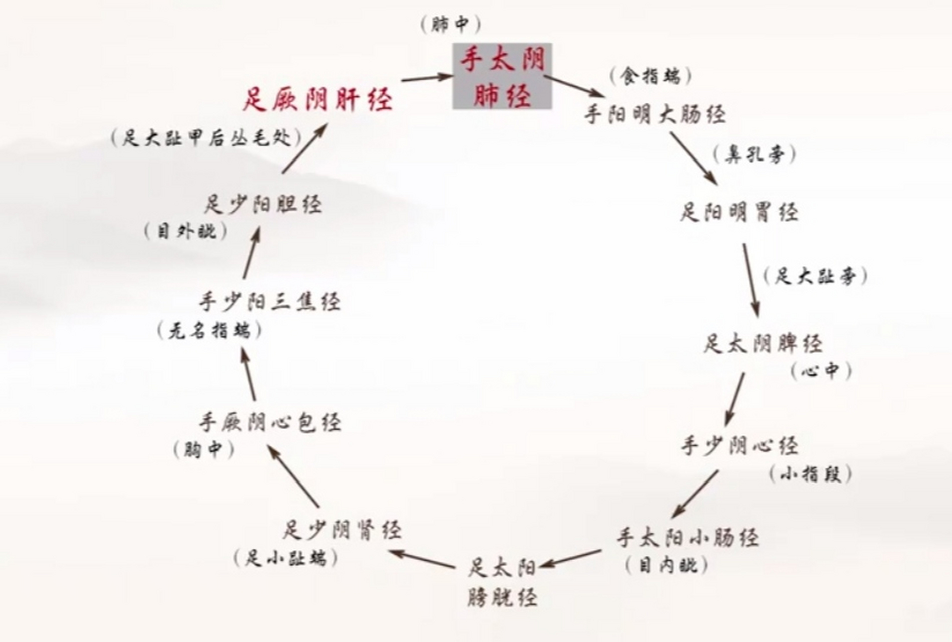 十二经脉循行图及位置图片